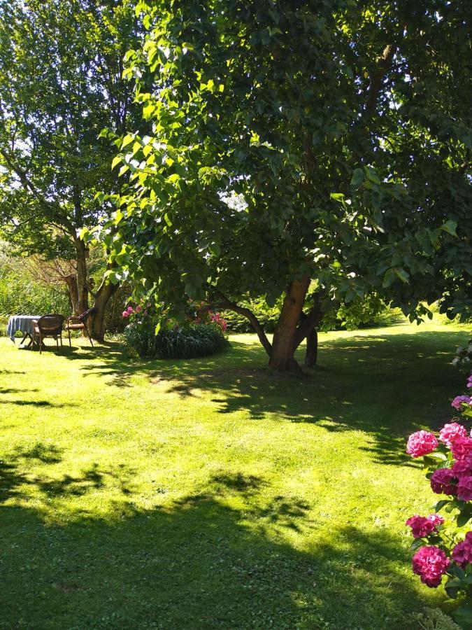 Ouddorp Vakantiehuisje Kültér fotó