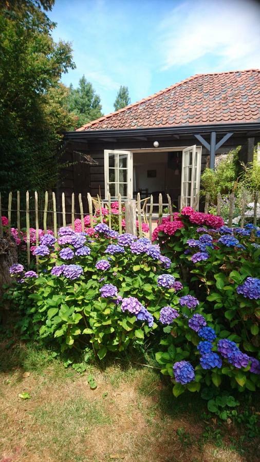 Ouddorp Vakantiehuisje Kültér fotó